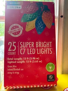 Christmas House LED Multi-Color 25-ct